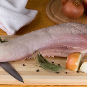 Holland veal tongue