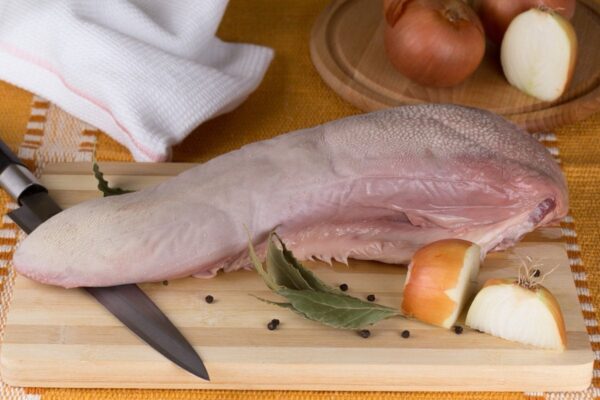 Holland veal tongue